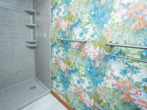 ada accessible shower from coors interior remodeling